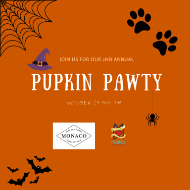 Pupkin Pawty Instagram Post