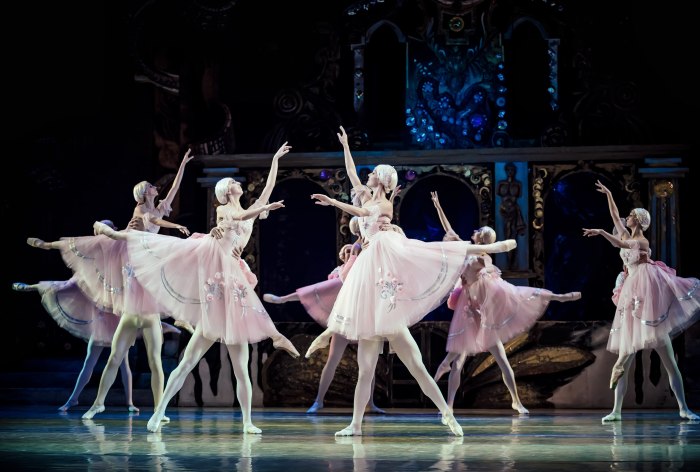 Join the Ukrainian Grand Kyiv Ballet on