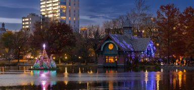 Manhattan 28th Annual Central Park Holiday Lighting