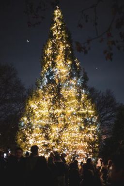 Manhattan Winter Celebration and Tree Lighting