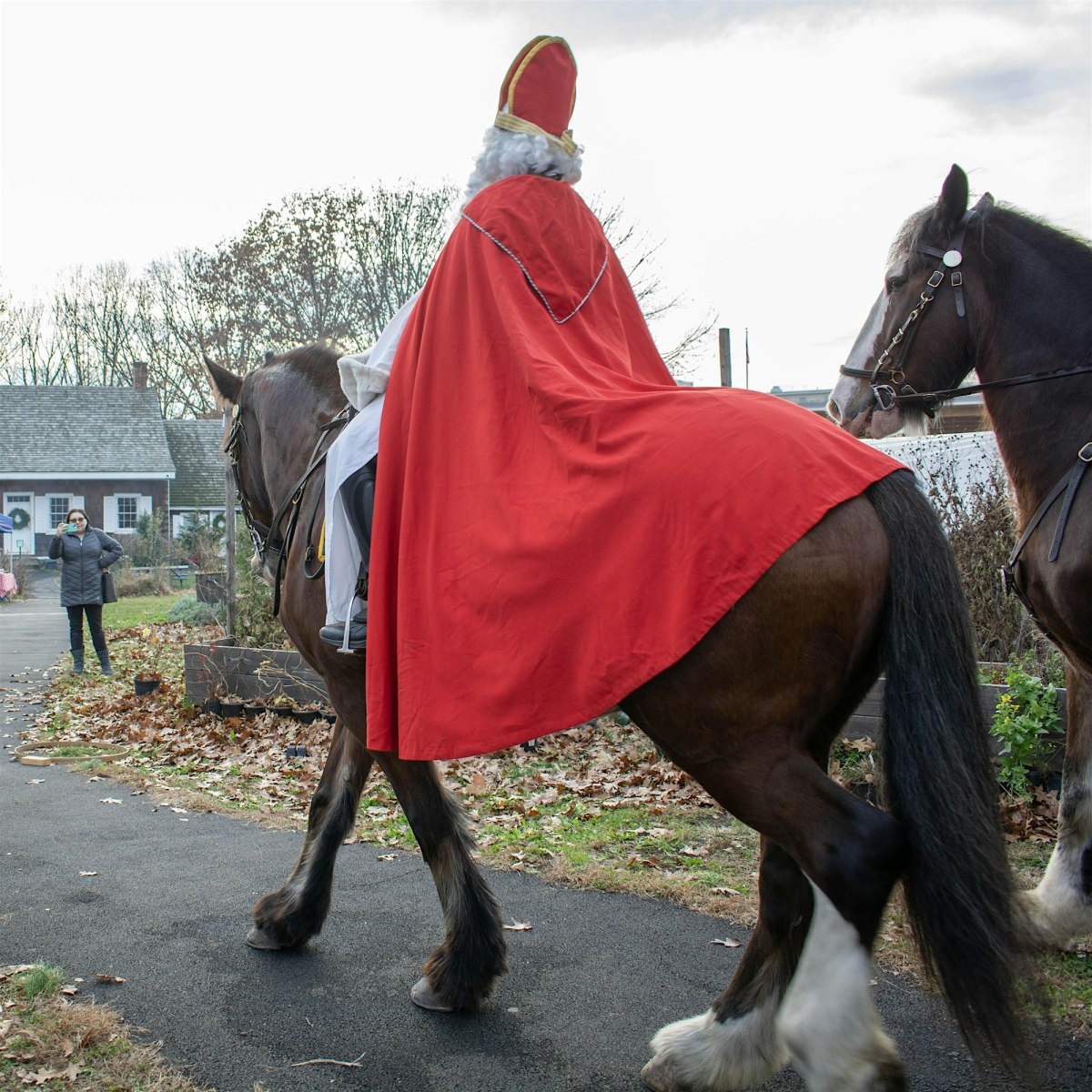 bf-calendar-Sinterklaas-St.-Nicholas-Day-2024-12