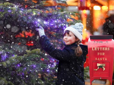 tree lighting graphic with mailbox