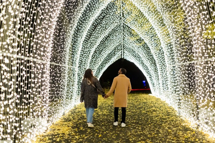 Lightscape, Brooklyn Botanic Garden’s af