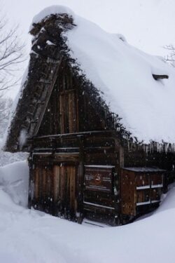 Arctic-Architecture-250×375