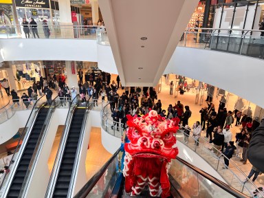 Queens Center Mall Lunar New Year Celebration