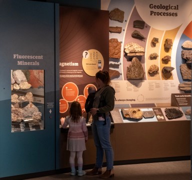 family in sciencegallery