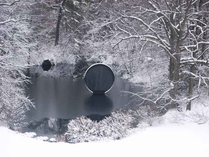 Winter Forest Walk with Naturalist Virgi