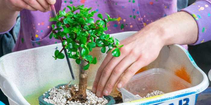 Beginner workshops are perfect for you t