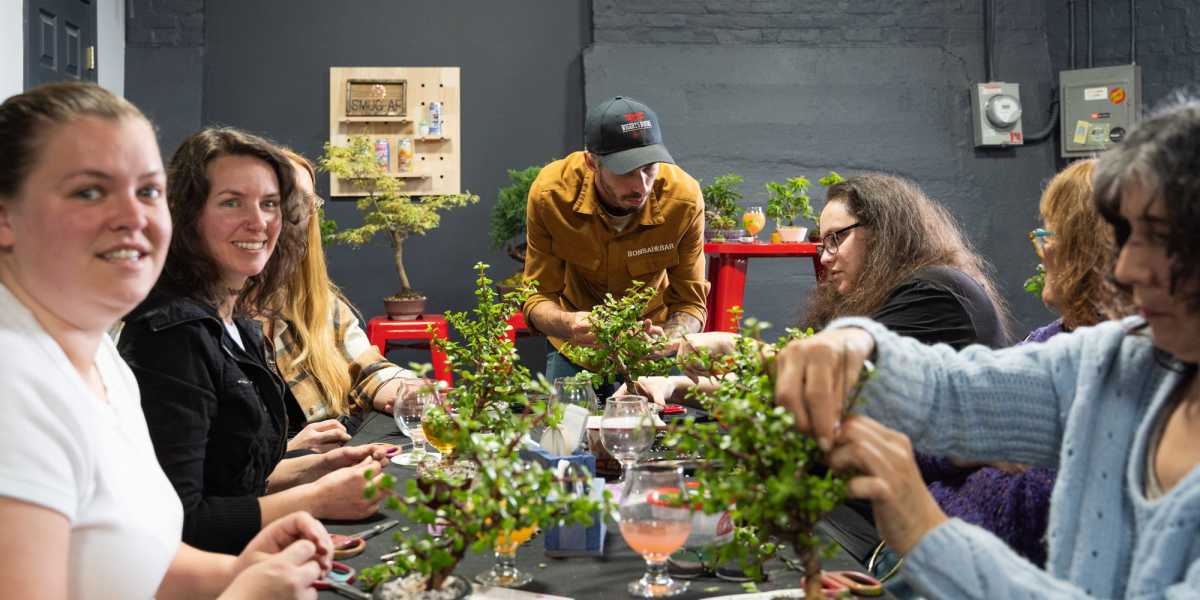Bonsai Workshop at The Greats of Craft