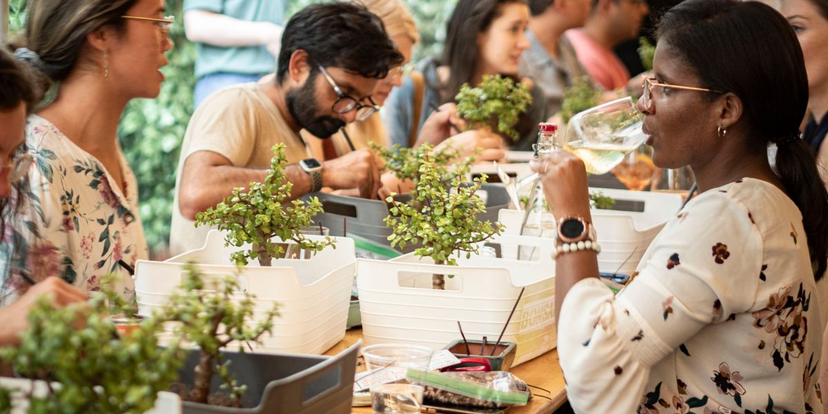 Bonsai Workshop at Torch & Crown Brewing Company