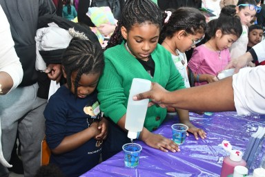 Bronx Family Fun Day & Charter School Fair hosted by Bronx Family & amNY