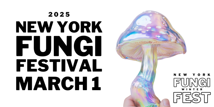 The New York Fungi Fest— a free, inclusi