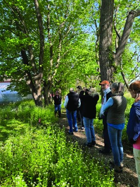 Early Bird Spring Walk