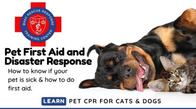 Family Pet First Aid Course_V2