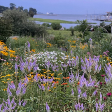 Fred Elser First Sunday Science_ How to Cultivate a Green and Abundant Garden in Greenwich