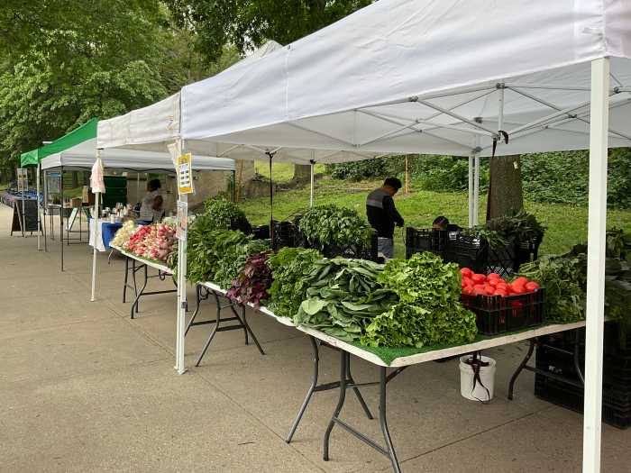 The Bronx Park East (BxPE) Farmers Marke