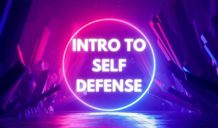 Join us for a free intro self-defense wo