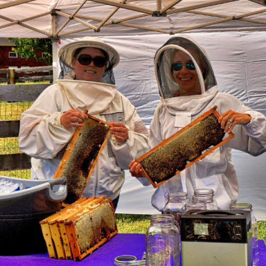 backyard-beekeeping-image