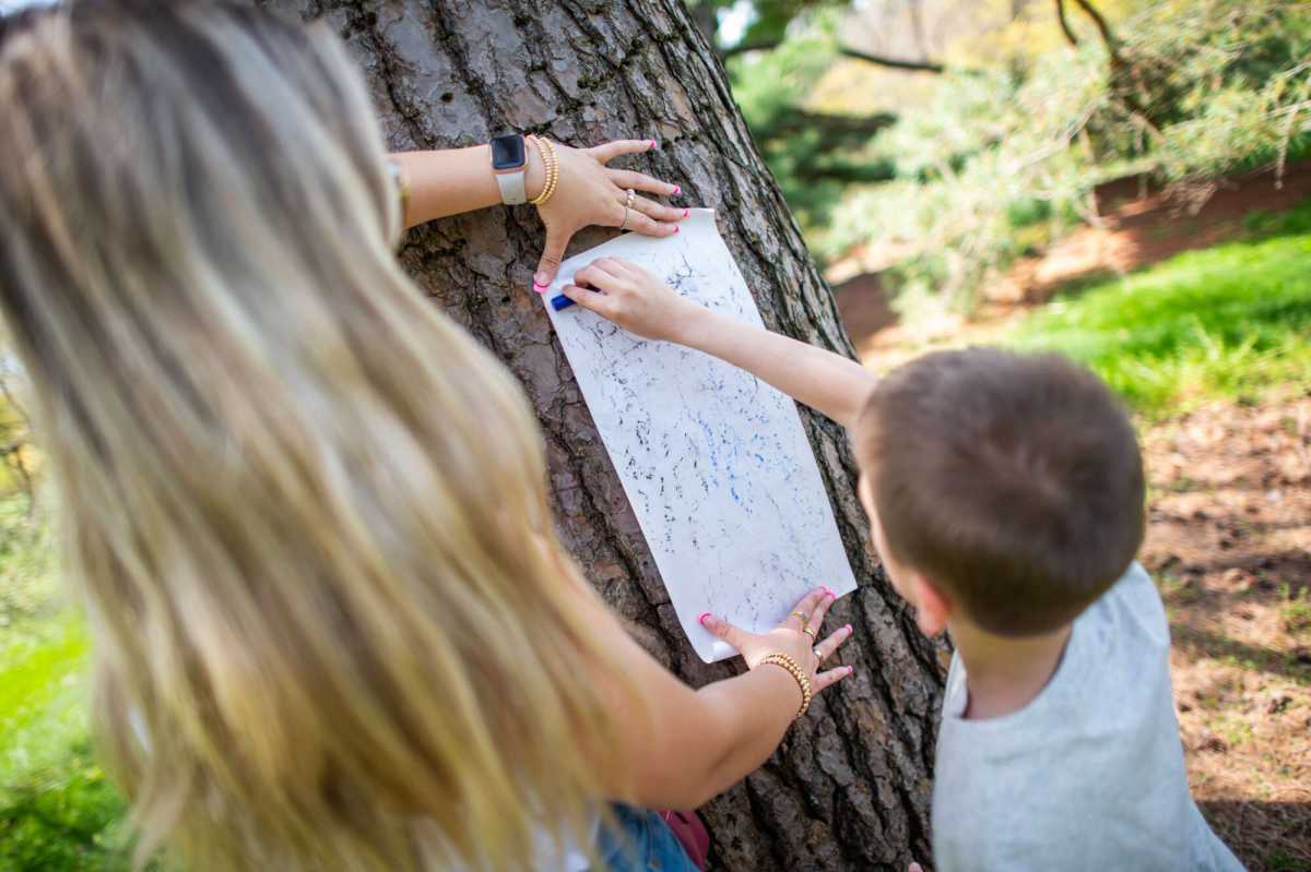 wave-hill_Family-Art-Project-Barking-up-a-Wave-Hill-Tree_credit-Joshua-Bright