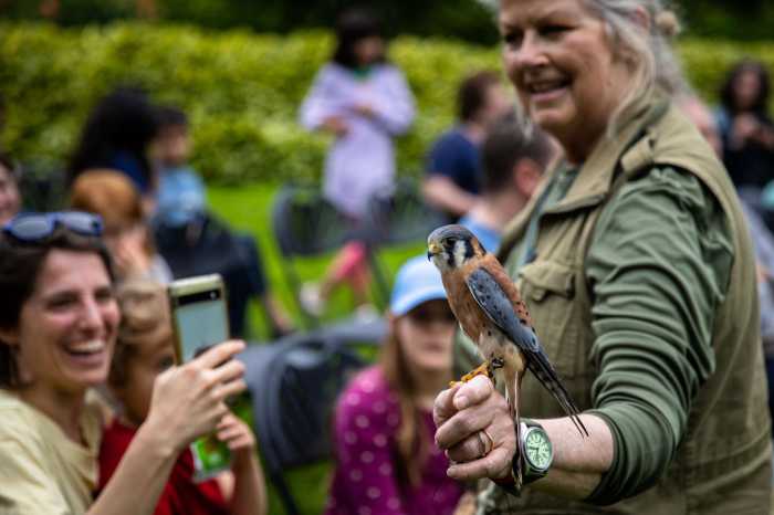 Birds of prey (also called raptors) incl