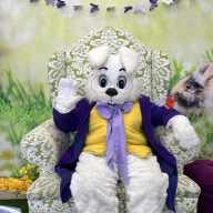 The Easter Bunny returns for spring phot