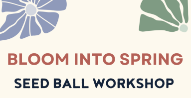 Bloom Into Spring Seed Ball Event Flyer