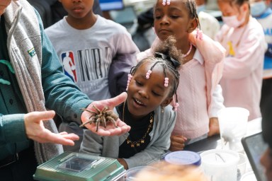 Earth Rocks! 2024, web, photo credit Winston Williams-Brooklyn Children’s Museum-081