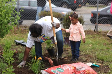 Project Petals_Volunteer Day