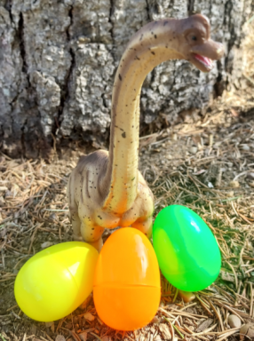 dinosaur egg hunt