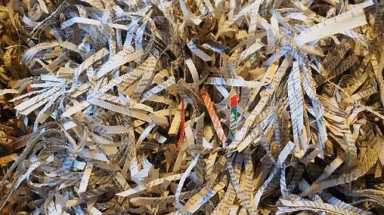 paper shredding