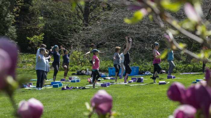 Root your feet in the grass and look out