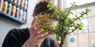 Bonsai Workshop at Torch Crown Brewing Company