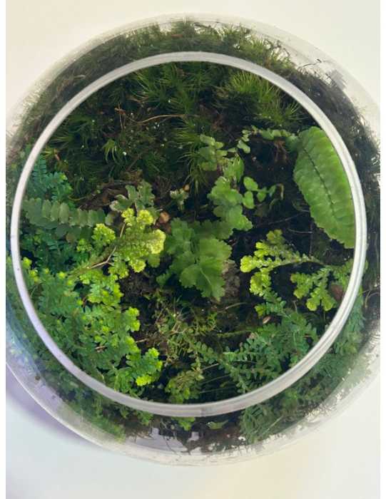 Join Queens Botanical Garden for our Ter