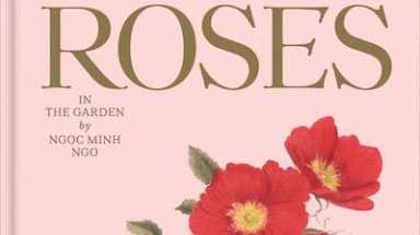 LH Roses (May 10)