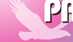 Pride Header