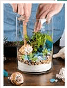 Terrarium Cristin 2