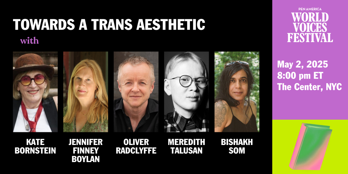 Towards a Trans Aesthetic (3)