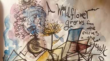 Wildflower_albumart_alternate