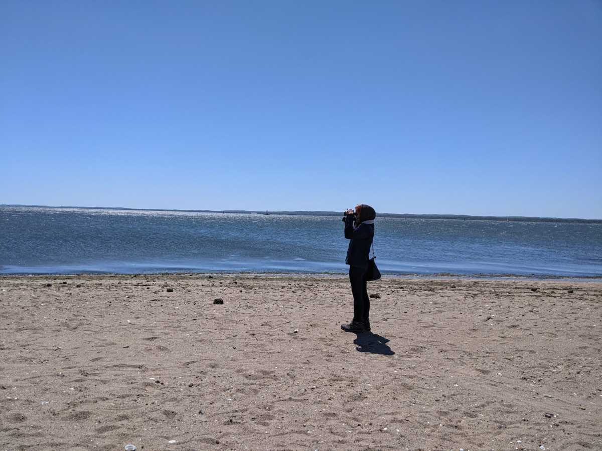 Wolfes-Pond_October-2021-scaled-VDSPn5.tmp_