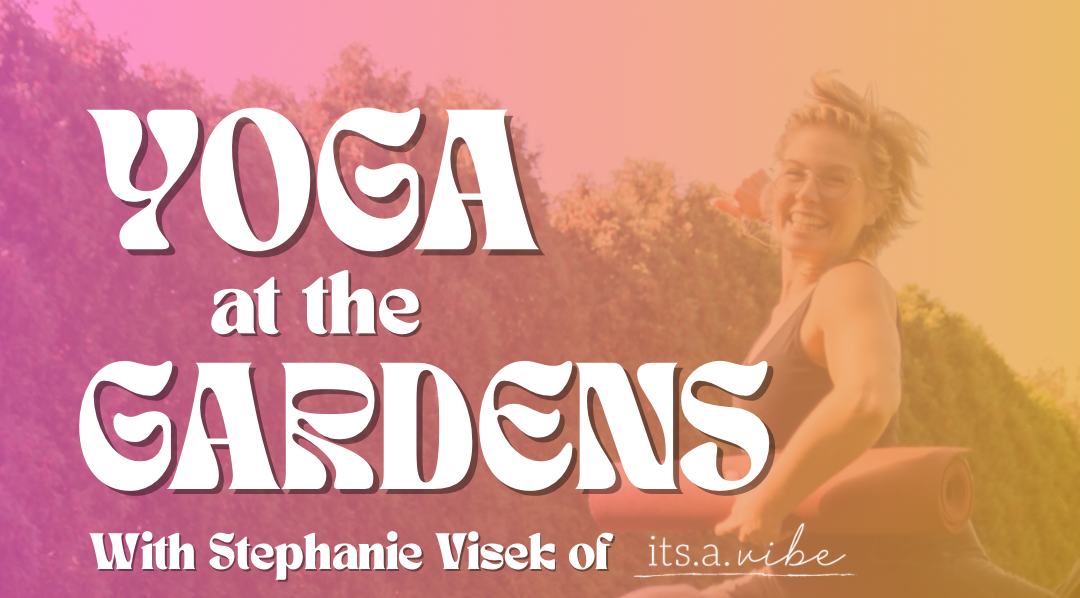 YOGA_105884