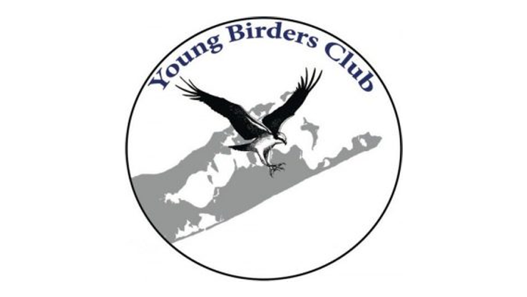 Young-Birders-Club