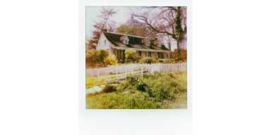 a-photographic-ramble-through-rosebank-2025-pano