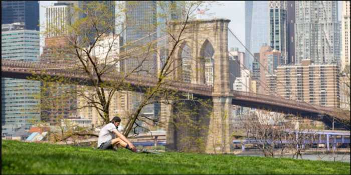 Join Brooklyn Bridge Park docents for a
