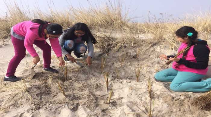 Join Group for the East End and Surfride
