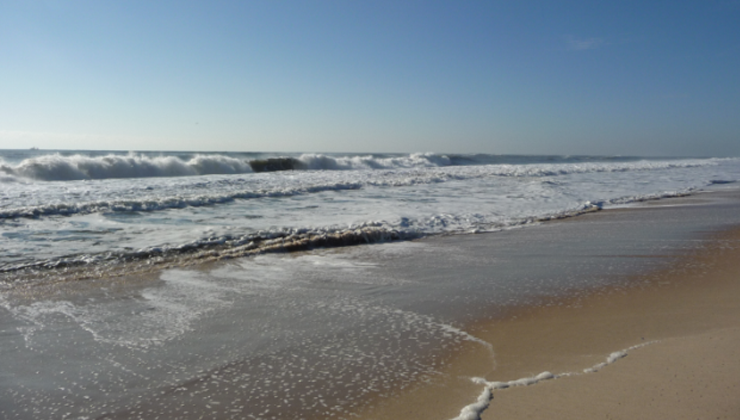 community-beach-clean-up