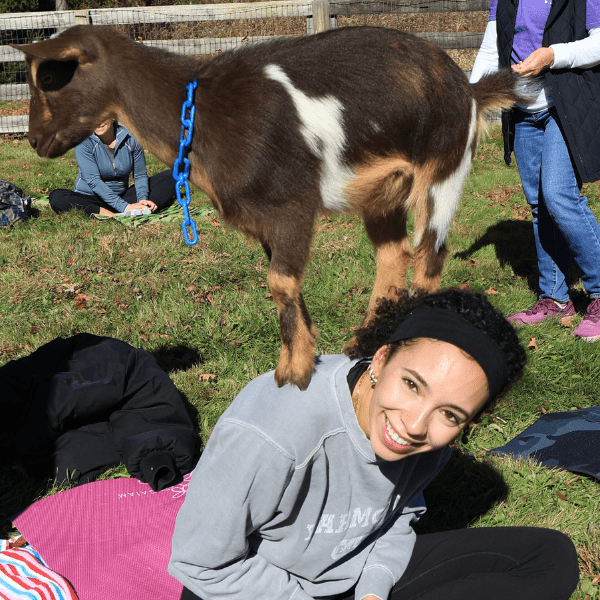 goat-yoga-oct