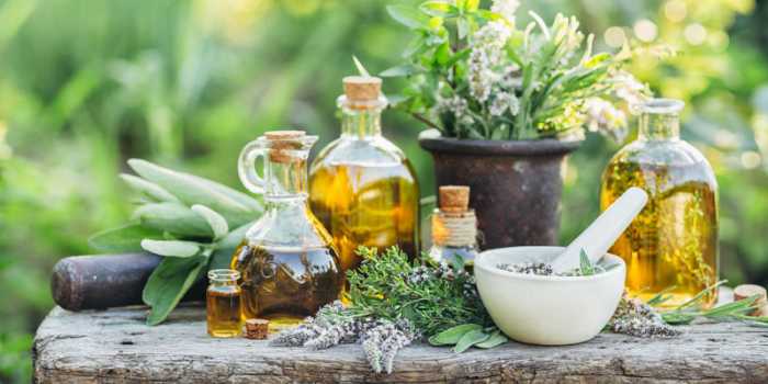 Nurture your young herbalist! Join this