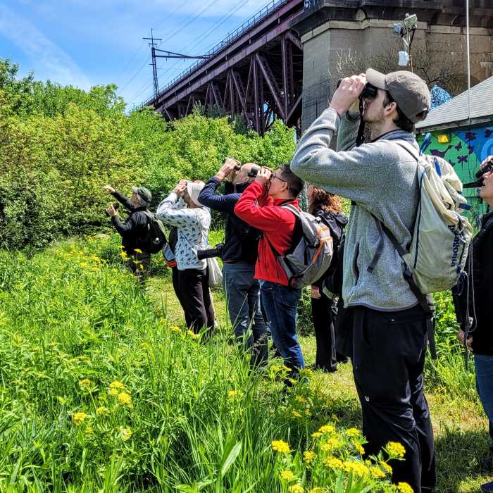 Fly over to Randall’s Island Park to cel