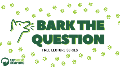 2025 Bark the question (1920 x 1080 px) (2)