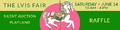 27EAST-LVIS fair banner